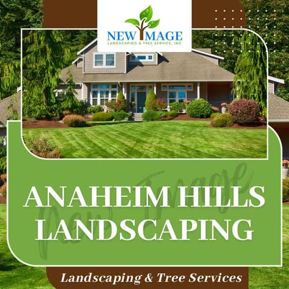 anaheim-hills-landscaping-featured