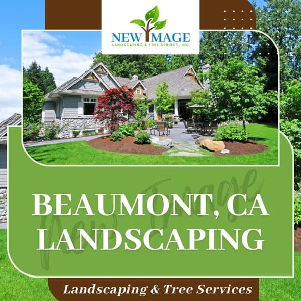 beaumont-landscaping-featured