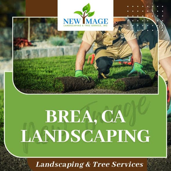 brea-landscaping-featured