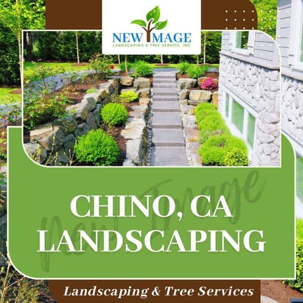 chino-landscaping-featured