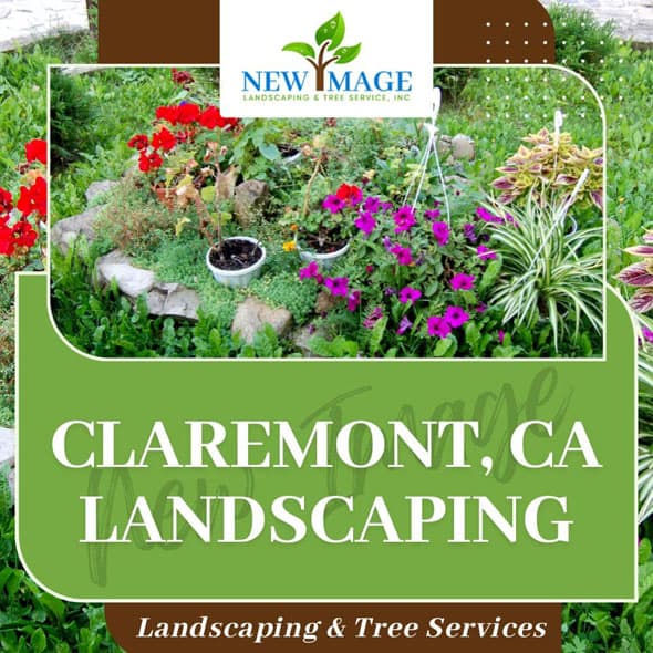 claremont-landscaping-featured