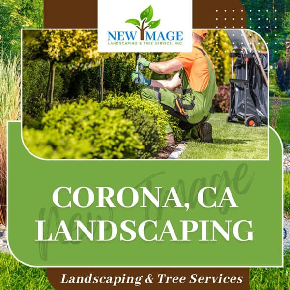 corona-landscaping-featured