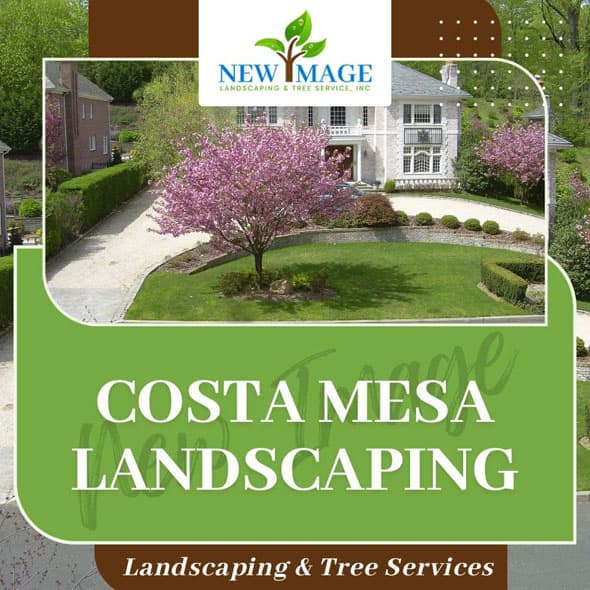 costa-mesa-landscaping-featured