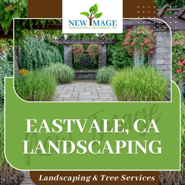 eastvale-landscaping-featured