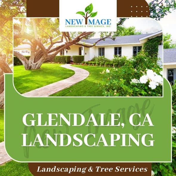 glendale-landscaping-featured