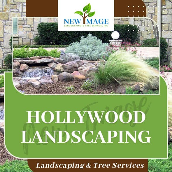 hollywood-landscaping-featured
