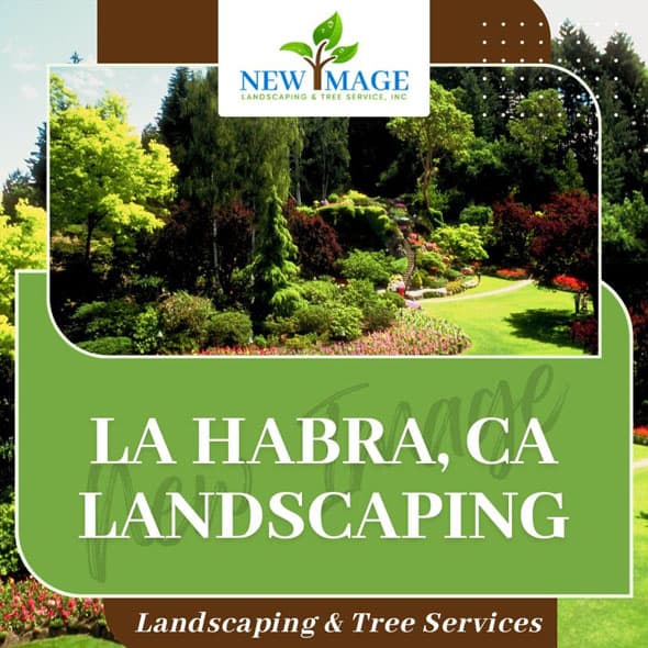 la-habra-landscaping-featured