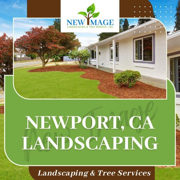 newport-landscaping-featured