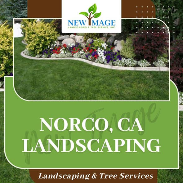 norco-landscaping-featured