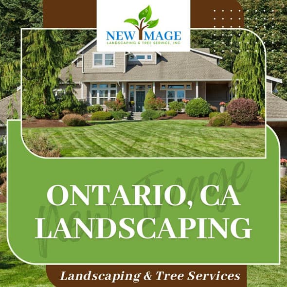 ontario-landscaping-featured