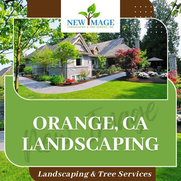 orange-landscaping-featured