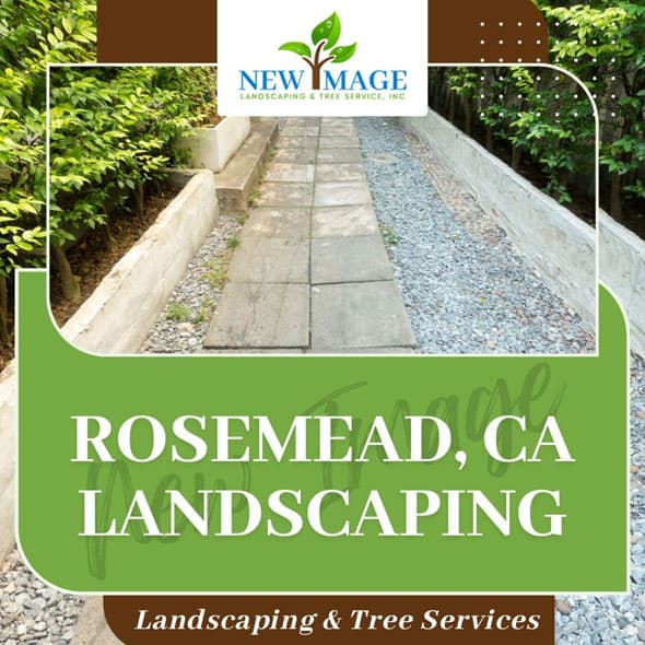 rosemead-landscaping-featured