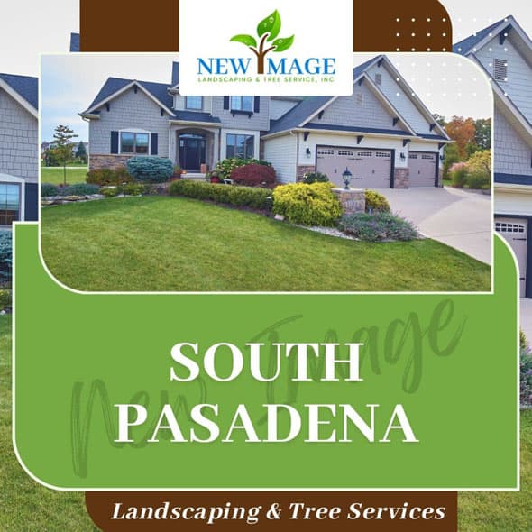south-pasadena-landscaping-featured
