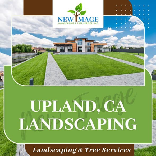upland-landscaping-featured