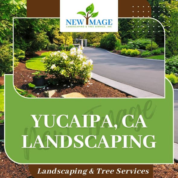 yucaipa-landscaping-featured